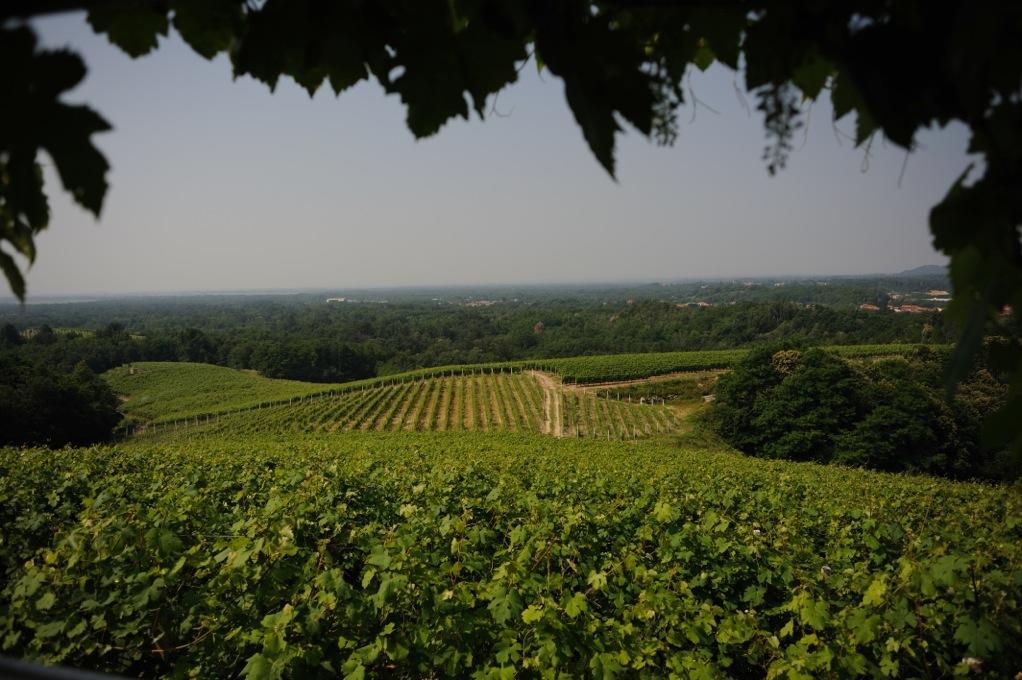 Locanda Villa Cavalleri Gattinara Exteriér fotografie